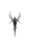 ҹ